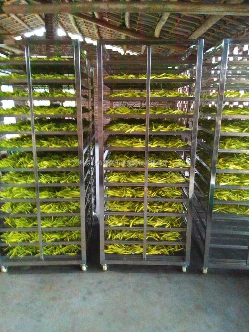 黃花菜烘干機(jī)、黃花菜烘干設(shè)備、黃花菜干燥機(jī)、黃花菜干燥設(shè)備、